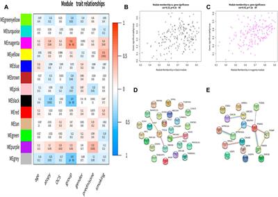 Ferroptosis-related genes are involved in asthma and regulate the immune microenvironment